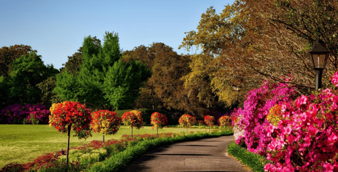 garden-essay-in-hindi