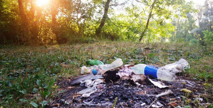 The Environmental Pollution Essay in English